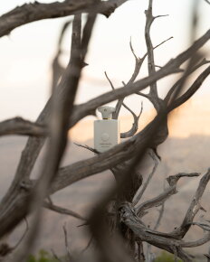 Amouage Decision Eau de Parfum (EdP) 100 ml