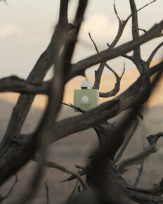 Amouage Existence Eau de Parfum (EdP) 100 ml