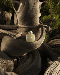 Amouage Existence Eau de Parfum (EdP) 100 ml