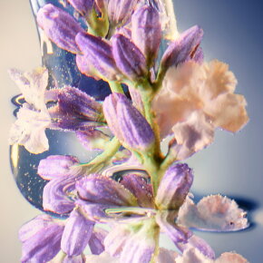 Davidoff Cool Elixir Deodorant-Spray 150 ml