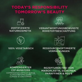 ANNEMARIE BÖRLIND Natural Lip Glow 4,2 g