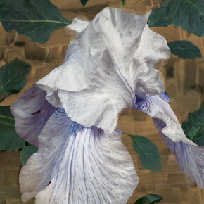 BYREDO Eyes Closed Eau de Parfum (EdP) 100 ml