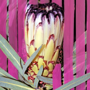 BYREDO Inflorescence Eau de Parfum (EdP) 100 ml