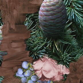 BYREDO Super Cedar Eau de Parfum (EdP) 100 ml