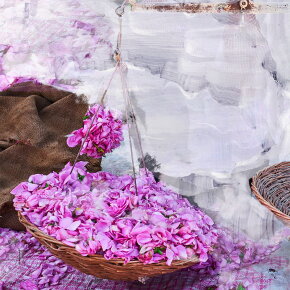 BYREDO Young Rose Eau de Parfum (EdP) 50 ml