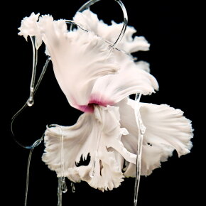 BYREDO Blanche Absolu Eau de Parfum (EdP) 50 ml