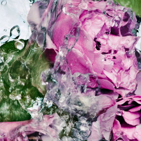 BYREDO Lost Rose Hand Lotion 450 ml