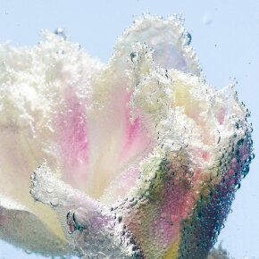 BYREDO Tulipmania Hand Lotion 450 ml