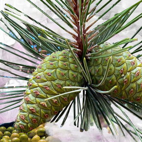 BYREDO Gypsy Water Body Wash 225 ml