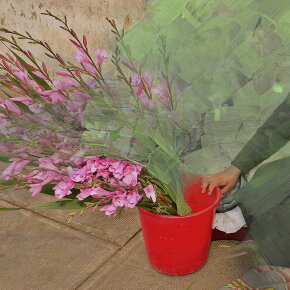 BYREDO Fragrance Candle Fleur Fantome 240 g