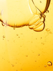 WHAMISA Organic Seeds Body Cleanser 490 ml