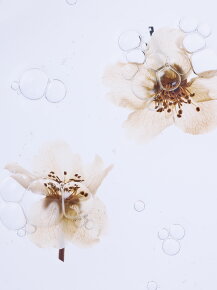 WHAMISA Organic Pear Blossom Essence Toner 160 ml