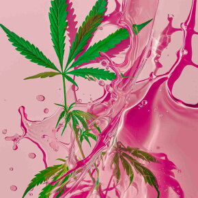 SOBER BERLIN Daily Shower Lotion 250 ml