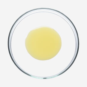 SOBER BERLIN Sun Shield Drops LSF50 30 ml