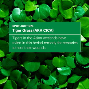 Dr.Jart+ Cicapair Tiger Grass Camo Drops 30 ml