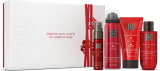 Aktion - RITUALS The Ritual of Ayurveda Small Gift Set 1 Stk.