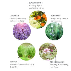 Evolve Organic Beauty Pure Tranquility Aromatic Hand & Body Wash 250 ml