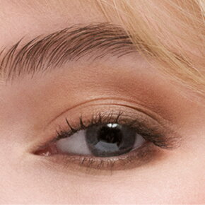 Estée Lauder Pure Color the Essential Eyeshadow Quad 4 g Gallery Hop