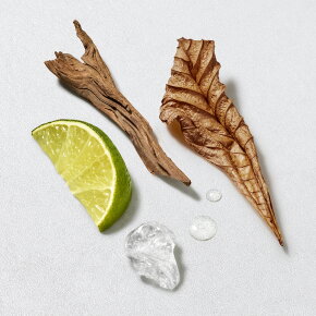 Giorgio Armani Acqua di Giò Homme Eau de Toilette (EdT) REFILL 150 ml