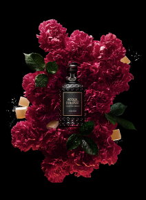 4711 Acqua Colonia Absolue Noble Rose Eau de Parfum (EdP) 100 ml