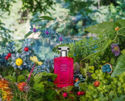 Lorenzo Villoresi Teti Eau de Toilette (EdT) 50 ml