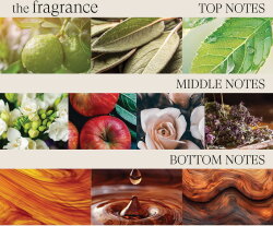 Lanza Healing Style Dry Shampoo 242 ml