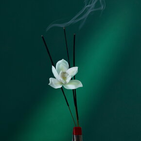 Penhaligon's Eau the Audacity Eau de Parfum (EdP) 100 ml