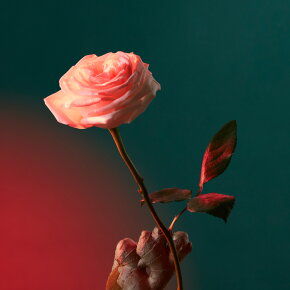 Penhaligon's Liquid Love Eau de Parfum (EdP) 50 ml