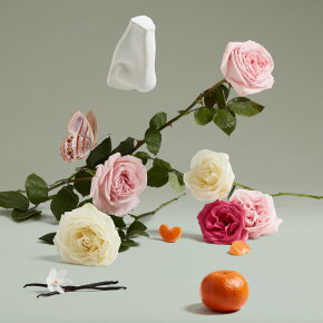 Penhaligon's The Coveted Duchess Rose Eau de Parfum (EdP) 10 ml