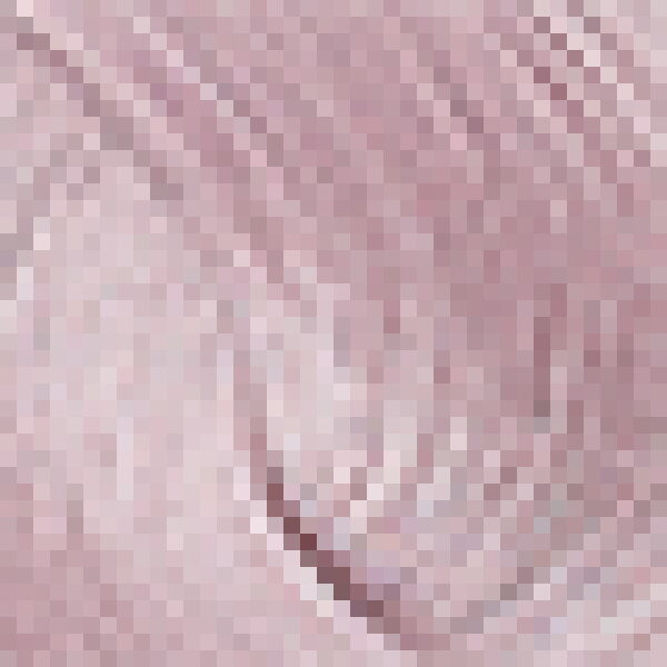 8022297156521 - Evolution of the Color 92 Hellblond Violett 60 ml