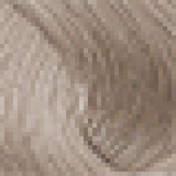 8022297167459 - Evolution of the Color 1005 Lightest Soft Mahogany Blonde 60 ml