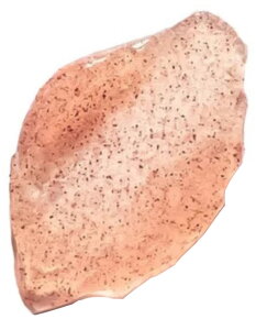 Darling Multi-Biotics Hydrating and Balancing Body Wash 250 ml