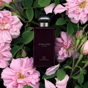 Jo Malone Taif Rose Cologne Intense 100 ml