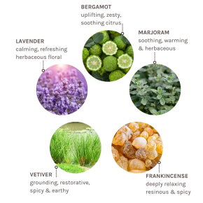 Evolve Organic Beauty Zen Whisper Ceramide Body Oil 100ml