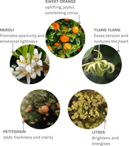 Evolve Organic Beauty Joyful Light Hand & Body Lotion 250 ml