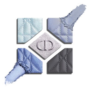 DIOR Diorshow 5 Couleurs 6,5 g 170 Midnight Lam&eacute;