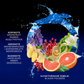 Trussardi Primo Notte Blu Eau de Parfum (EdP) 50 ml