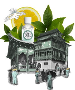 Roger&Gallet Th&eacute; Vert  Eau Fraiche 100 ml
