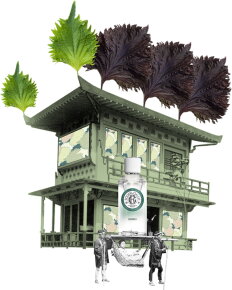 Roger&Gallet Shiso Eau Fraiche 100 ml