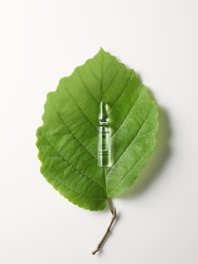 Dr. Hauschka Calm & Balance Ampoules 28 x 2 ml