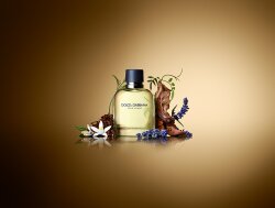 Dolce&Gabbana Pour Homme Eau de Toilette (EdT) 125 ml