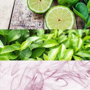 Calvin Klein ck one Eau de Toilette (EdT) 50 ml