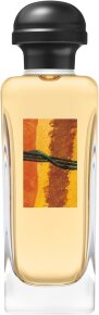Hermès Rocabar Eau de Toilette (EdT) 100 ml