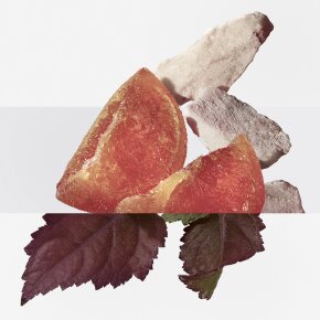 Hermès Eau des Merveilles Elixir Eau de Parfum (EdP) 50 ml