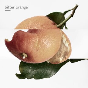 Hermès Eau des Merveilles Eau de Toilette (EdT) 50 ml