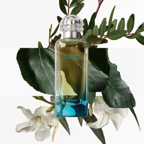 Hermès Un Jardin en Mediterranée Eau de Toilette (EdT) 100 ml