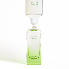 Hermès Un Jardin sur le Toit Eau de Toilette (EdT) 100 ml