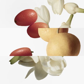 Hermès Le Jardin de Monsieur Li Eau de Toilette (EdT) 50 ml