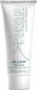 I.C.O.N. Allow Pomade 60 ml I.C.O.N. Allow Pomade 60 ml