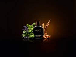 Dolce&Gabbana Intenso Eau de Parfum (EdP) 75 ml